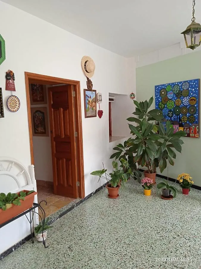 Guest house Lagarto Hotel Agaete  Spain